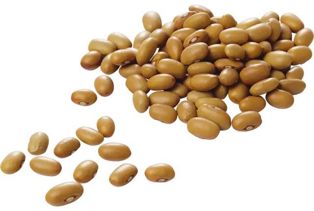 Haricots rouges 500g caisse 15pc